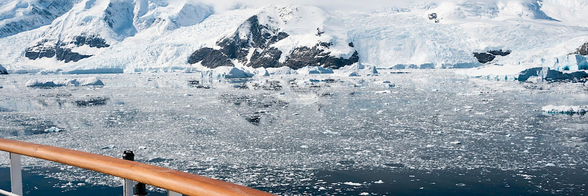 Sea ice