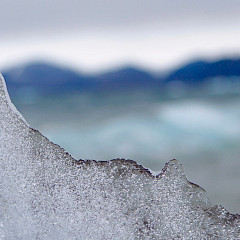 Ice