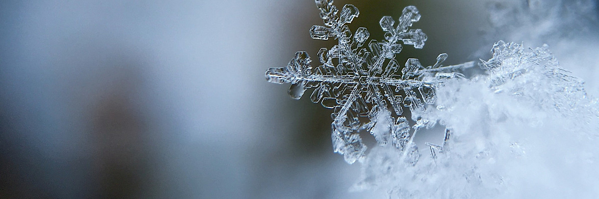 Snowflake