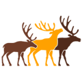 GCI